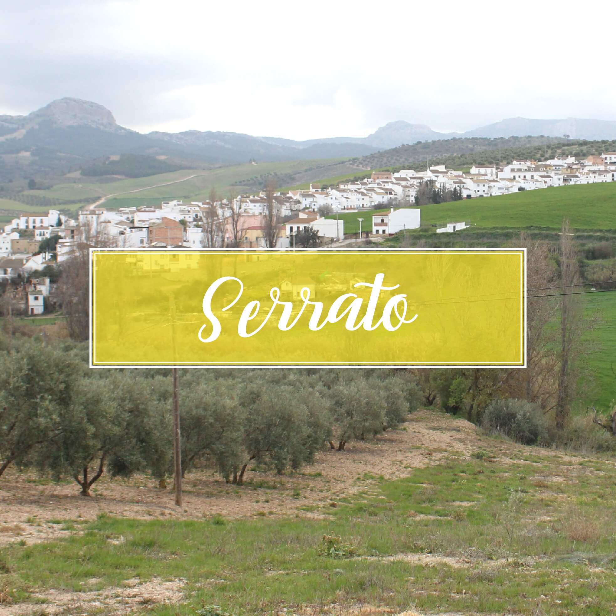 Serrato Dorp Malaga