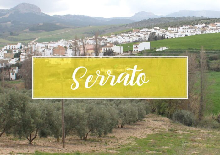 Serrato Village Malaga