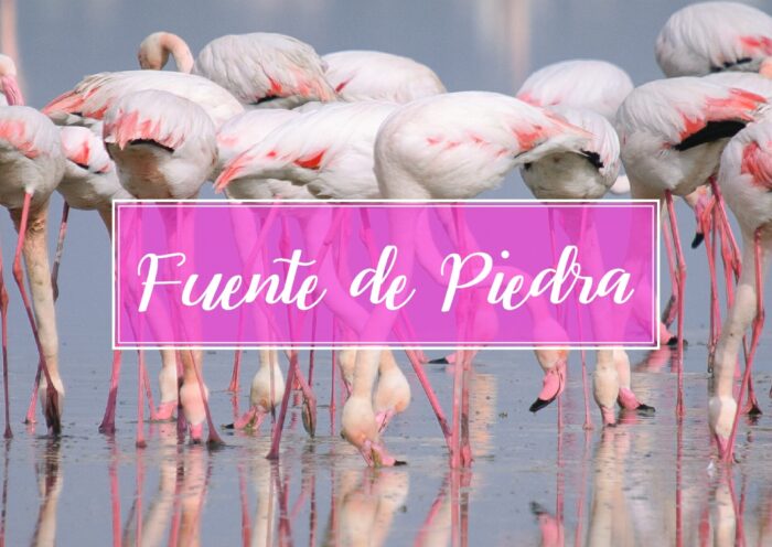 Fuente De Piedra Pueblo Malaga