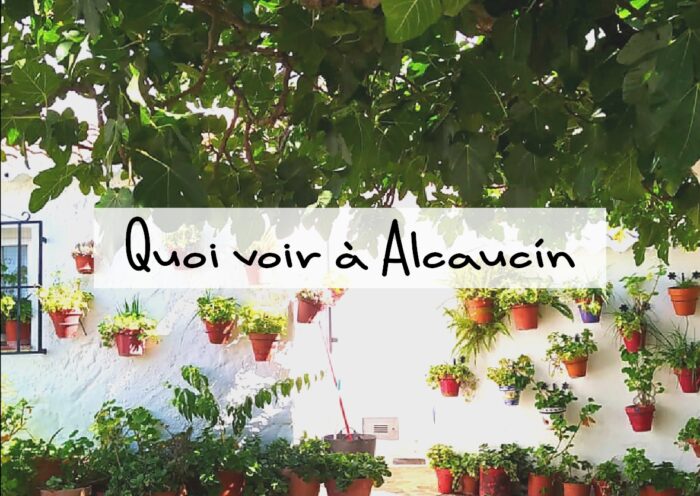 Quoi voir à Alcaucín