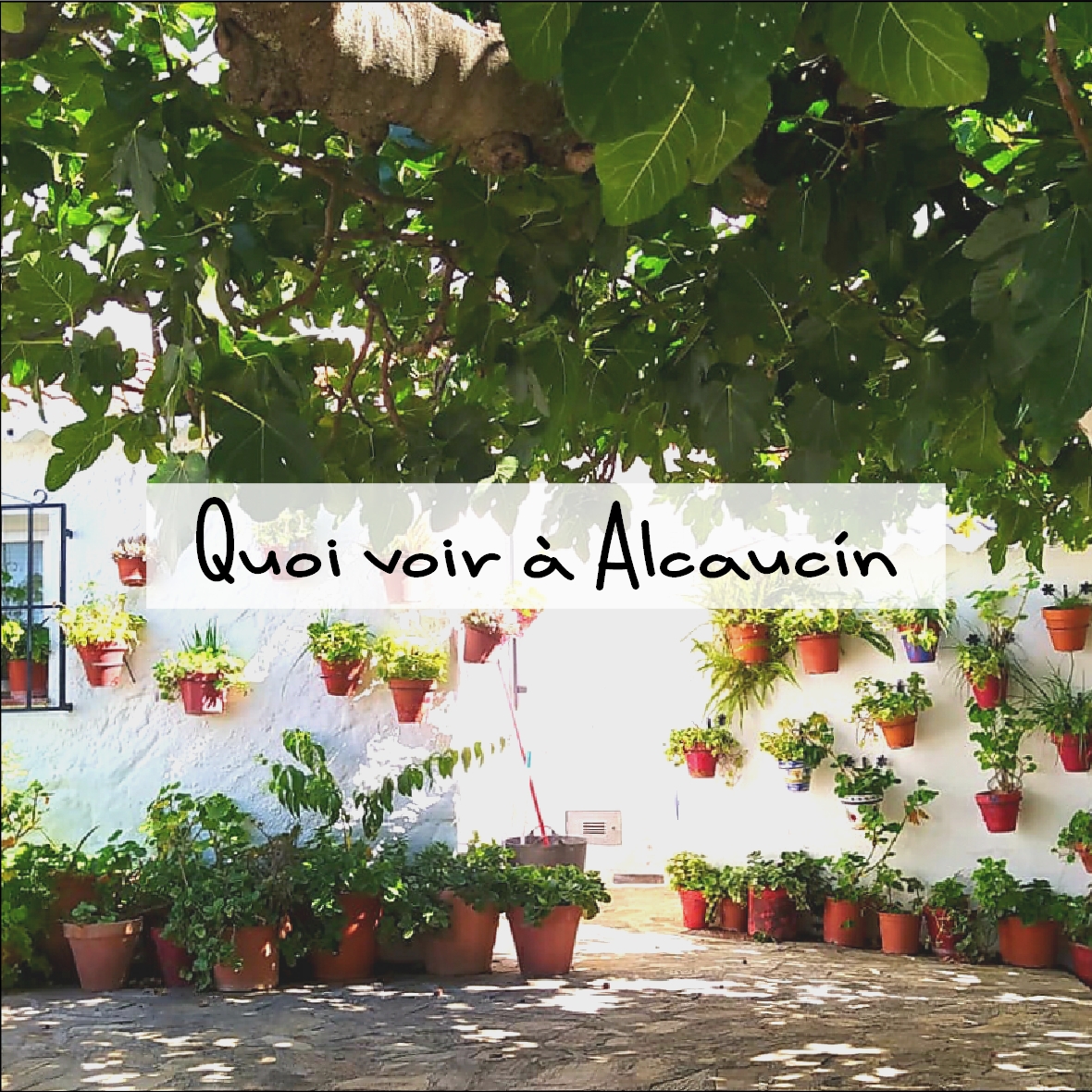 Quoi voir à Alcaucín