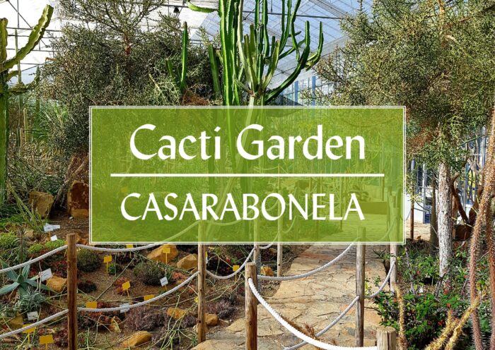 Botanical Cacti Garden Casarabonela Malaga