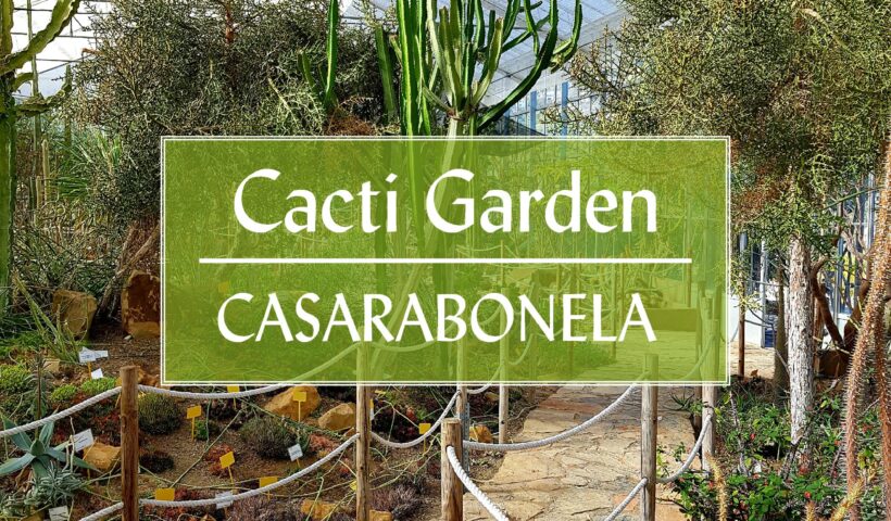 Botanical Cacti Garden Casarabonela Malaga