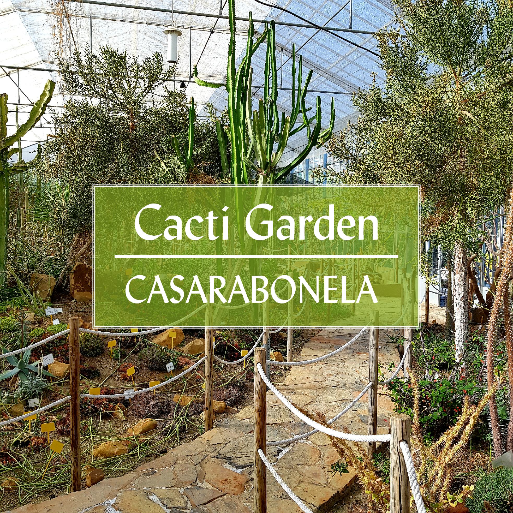 Botanical Cacti Garden Casarabonela Malaga
