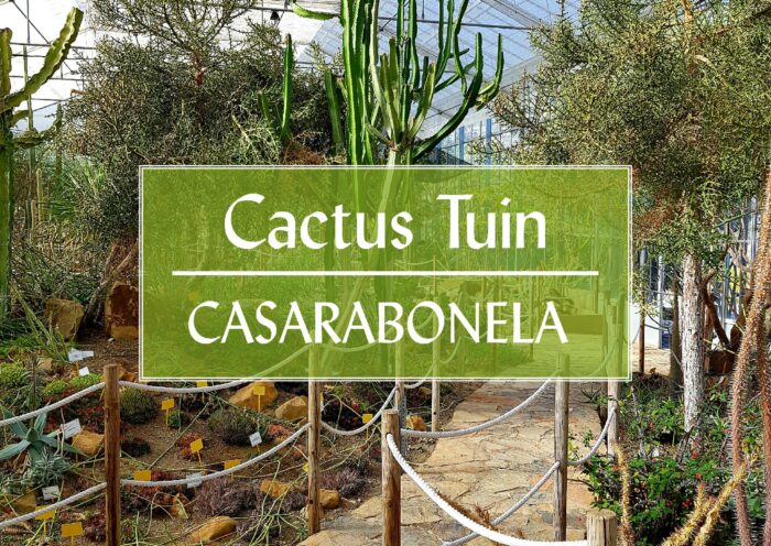 Botanische Cactus Tuin Casarabonela Malaga