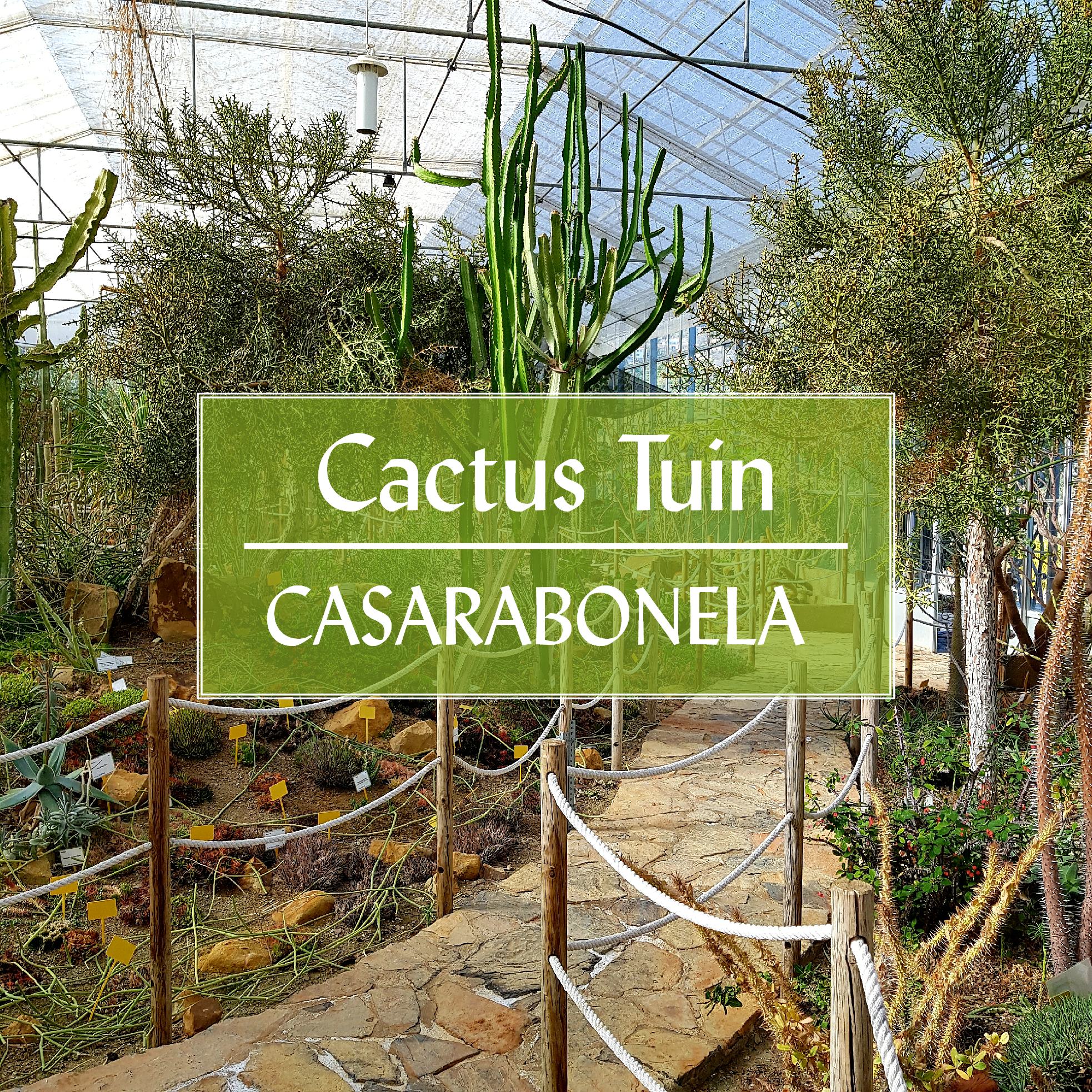 Botanische Cactus Tuin Casarabonela Malaga