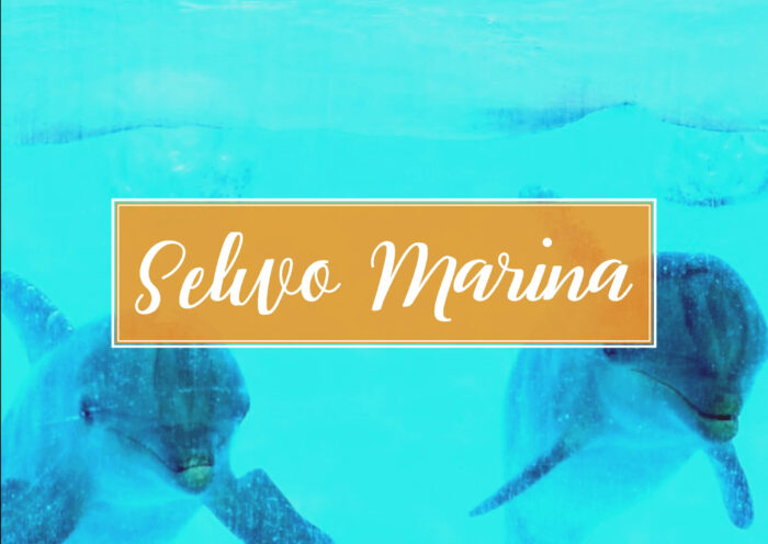 Selwo Marina Benalmadena Malaga