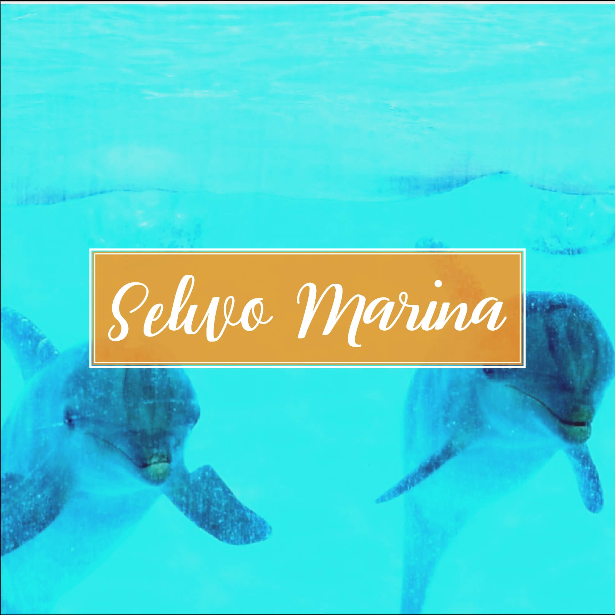 Selwo Marina Benalmadena Malaga