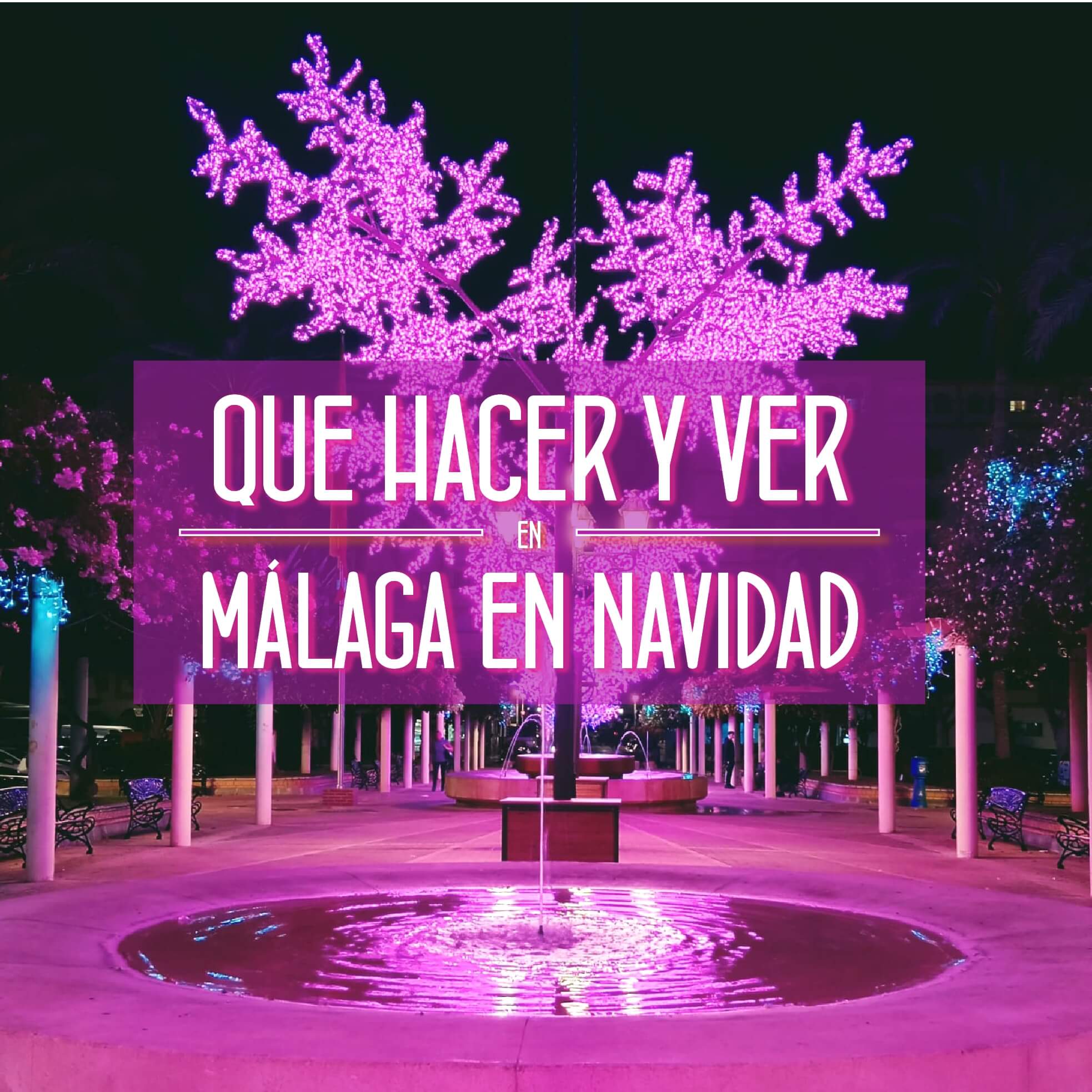 Que hacer y ver en Malaga en Navidad