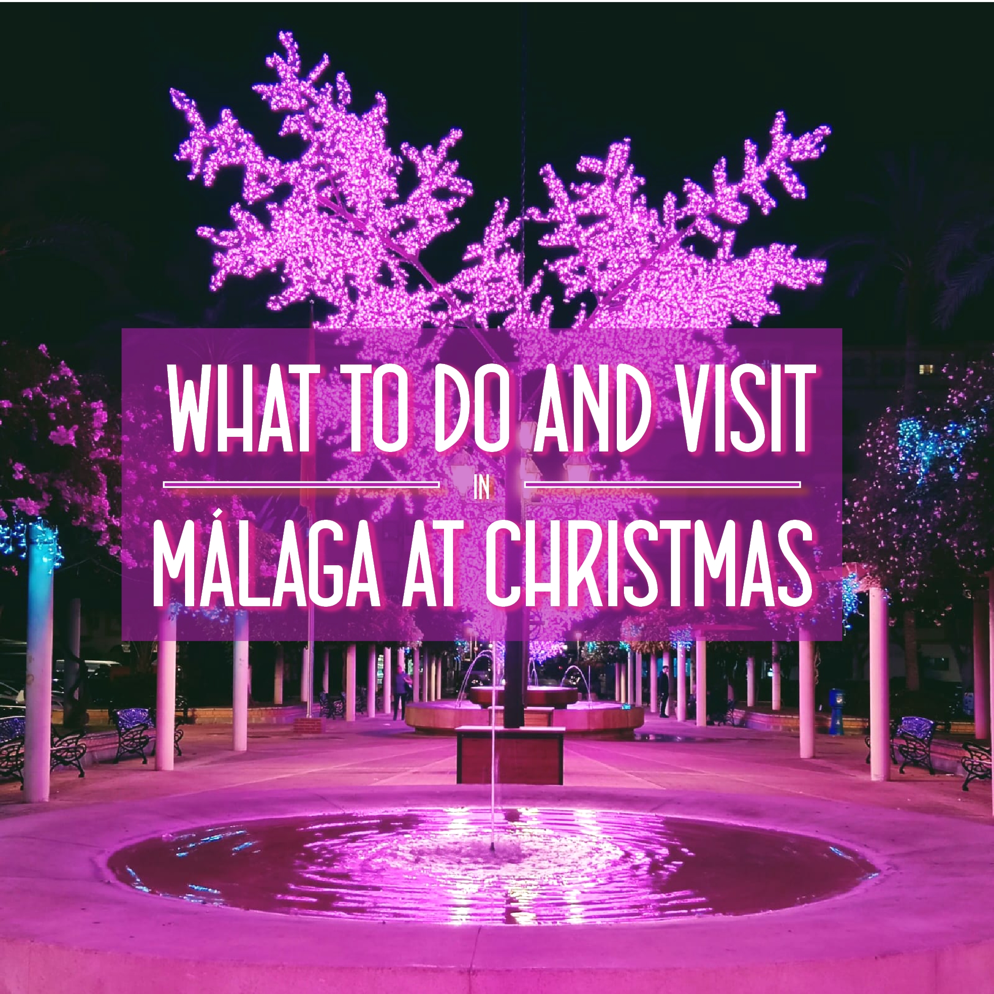 What to do and visit at Christmas in Malaga