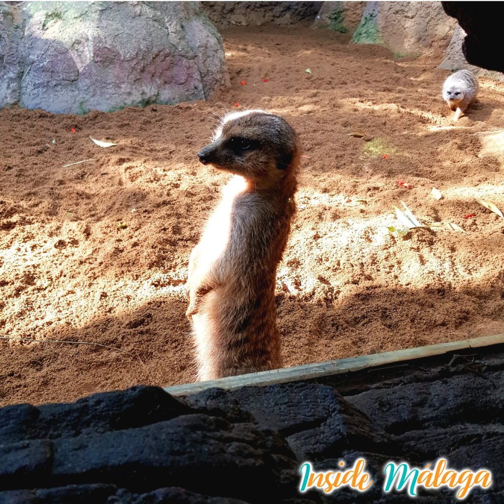 Bioparc Animal Park Fuengirola